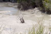 Wai-o-Tapu - Thermal Wonderland